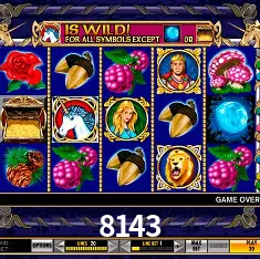 Descubra a Magia dos Jogos de Arcade no 8143